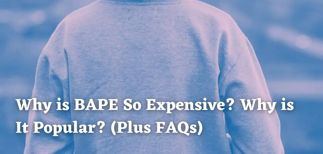 Why is BAPE So Expensive? Why is It Popular? (Plus FAQs)